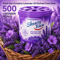 Shanty Town - Lavender